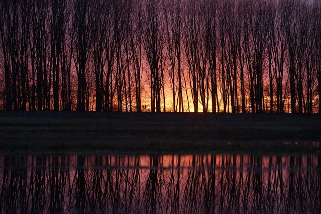 Trees are reflected by excess water covering an agricultural land during sunset in the vicinity of Hosszupalyi, 235 kms east of Budapest, Hungary, 11 February 2016. Large areas are waterlogged in the region because of rainy weather. (Photo by Zoltan Balogh/EPA)