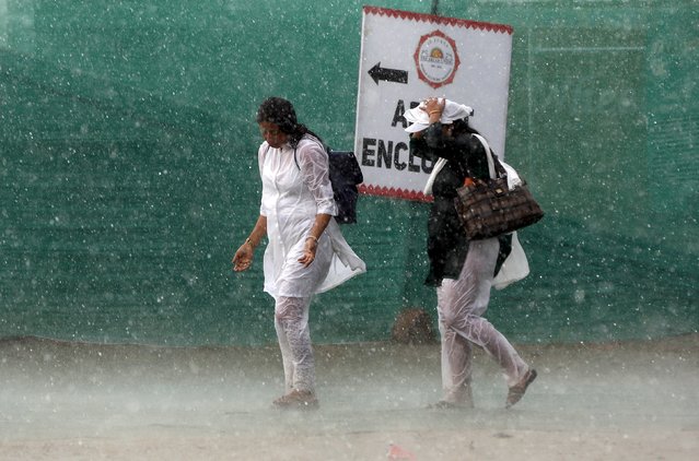Women arrive during a hailstorm at the venue of World Culture Festival on the banks of a river in New Delhi, India, March 11, 2016. (Photo by Adnan Abidi/Reuters)
