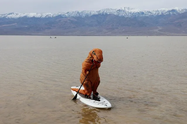 Garrett Dong, of Ventura, California, paddle boards in an inflatable dinosaur costume at Lake Manly, a temporary lake formed by heavy rainstorms, at Death Valley National Park, California on February 24, 2024. The lake is located at Badwater Basin, which is the lowest point in North America at 282 feet below sea level. (Photo by Ronda Churchill/Reuters)