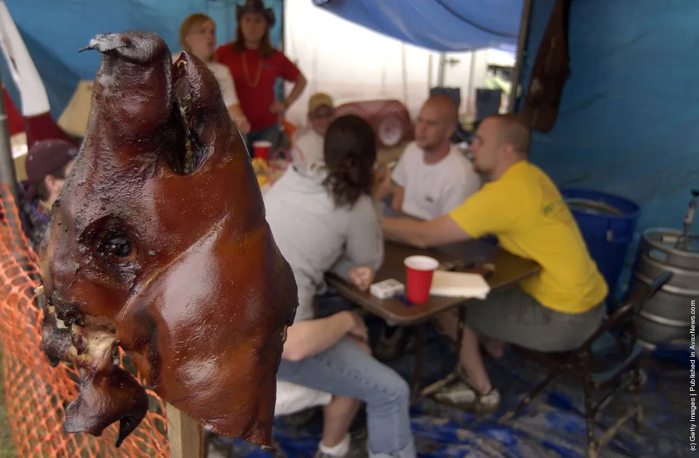 Tasty Pork. Bon Appetit!