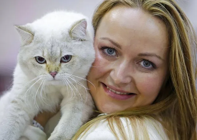 Olga Bidyuk holds her British Shorthair cat during the Mediterranean Winner 2016 cat show in Rome, Italy, April 3, 2016. (Photo by Max Rossi/Reuters)