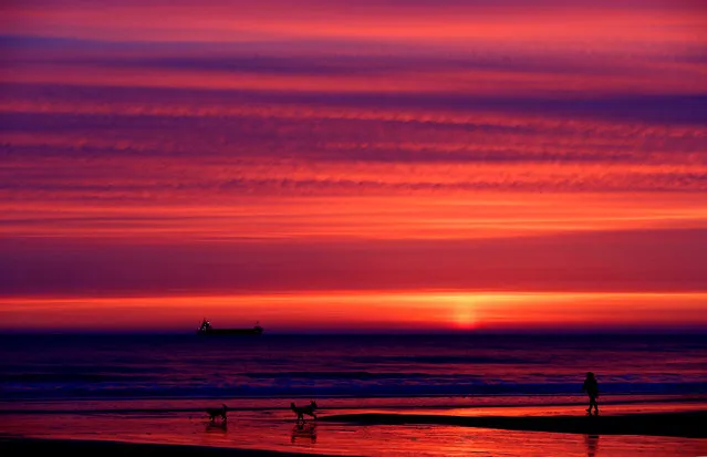 A dog walker on Longsands beach before sunrise in Tynemouth, UK on April 1, 2016. (Photo by Owen Humphreys/PA Wire)