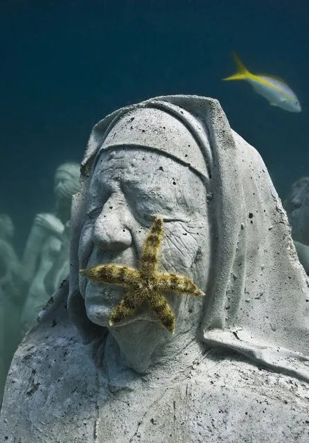 Underwater Sculpture, The Silent Evolution