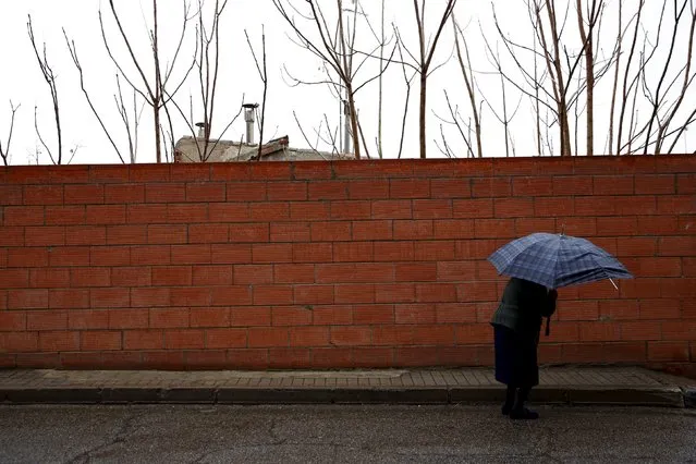 An elderly woman braves the rain in Consuegra, Spain, April 4, 2016. (Photo by Susana Vera/Reuters)