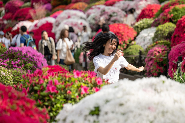 A woman visits an azalea garden at Nezu Shrine in Tokyo on April 17, 2024. (Photo by Yuichi Yamazaki/AFP Photo)