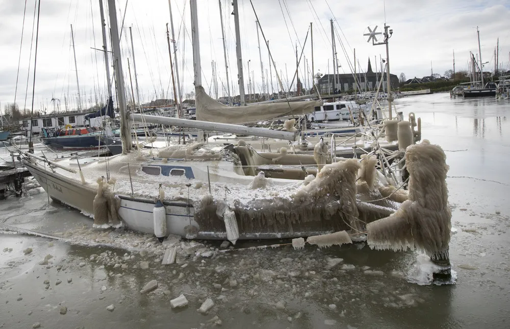 Pictures of the Year 2021, Part 16/102