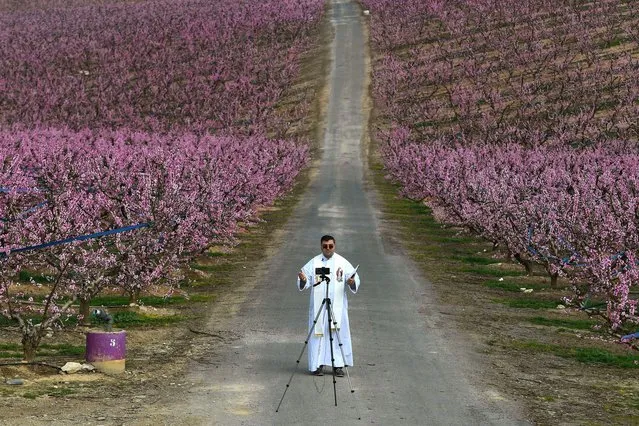 A priest uses a mobile phone to record his sermon in the middle of a blooming peach trees orchard in Aitona, Spain on March 5, 2021 (Photo by Pau Barrena/AFP Photo)