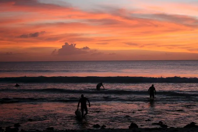 Surfers walk out of the water at sunset after surfing along the coast of Kiritimati Island, part of the Pacific Island nation of Kiribati, April 5, 2016. (Photo by Lincoln Feast/Reuters)