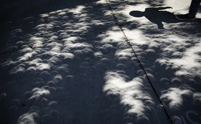 Shadows from a near total solar eclipse are projected on a sidewalk as a pedestrian passes in midtown Atlanta, Monday, August 21, 2017. (Photo by David Goldman/AP Photo)