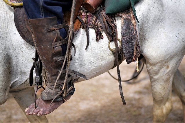 A cowboy rides during the annual two-day Rupununi Ranchers Rodeo festival, in Lethem, Guyana, Saturday, April 8, 2023. The festival is an Easter weekend tradition, celebrating the Rupununi savannah cowboy lifestyle. (Photo by Matias Delacroix/AP Photo)