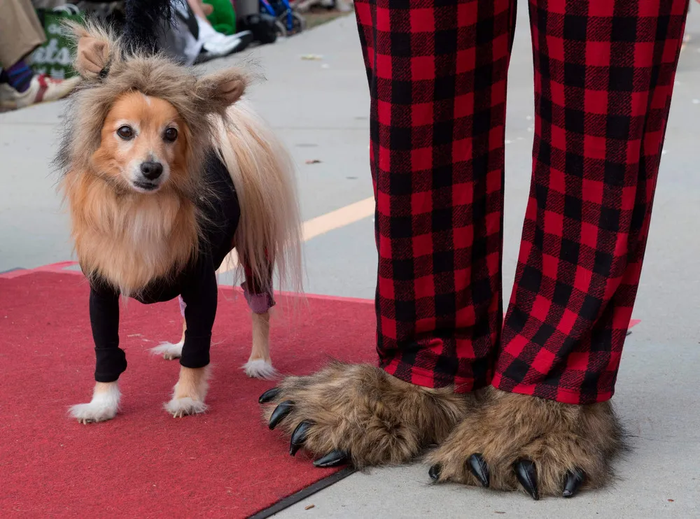 The Day in Photos – October 30, 2019