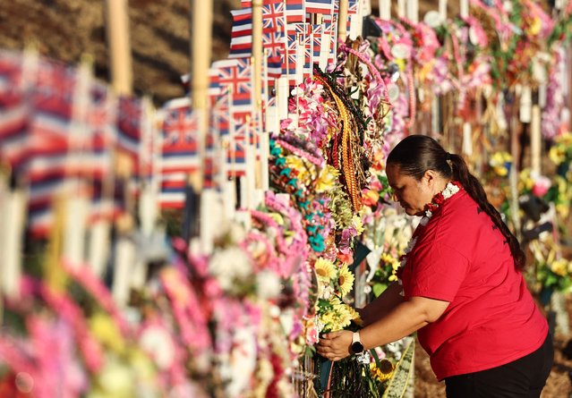 A person adjusts flowers at a public hillside memorial to Lahaina wildfire victims on August 7, 2024 in Lahaina, Hawaii. August 8 marks the one-year anniversary of the Maui wildfires which killed 102 people and devastated the historic community of Lahaina in West Maui. (Photo by Mario Tama/Getty Images/AFP Photo)