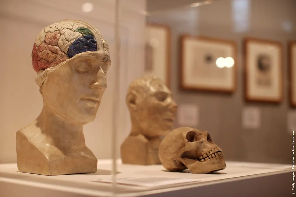The Wellcome Collections Unveils their New Exhibition Brains