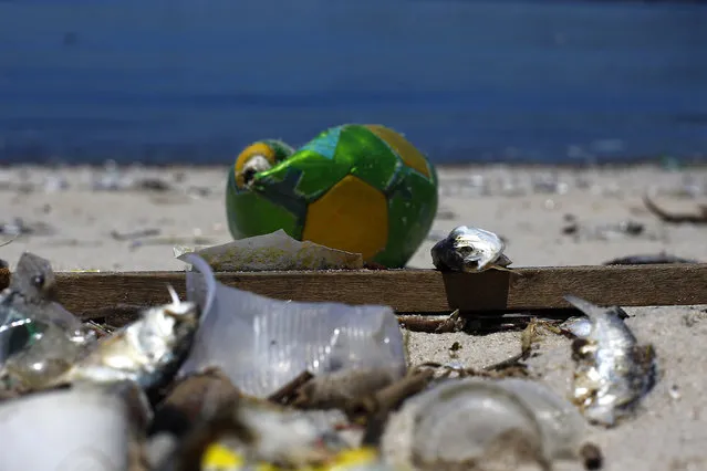 Dead fish lied next to a soccer ball on the banks of the Guanabara Bay in Rio de Janeiro February 24, 2015. (Photo by Ricardo Moraes/Reuters)