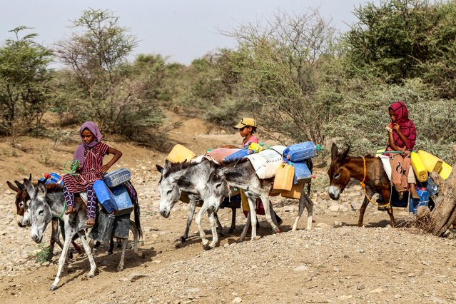 Children ride donkeys carrying jerrycans to fill up water from a cistern amid a water shortage and soaring temperatures, at a makeshift camp for people who fled fighting between Yemen's Huthi rebels and the Saudi-backed government forces, in the village of Hays in Yemen's western province of Hodeida on June 13, 2024. (Photo by Khaled Ziad/AFP Photo)