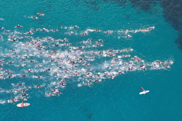 An aerial view as athletes compete in the swim portion during the VinFast IRONMAN World Championship on October 26, 2024 in Kailua Kona, Hawaii. (Photo by Ezra Shaw/Getty Images for IRONMAN)