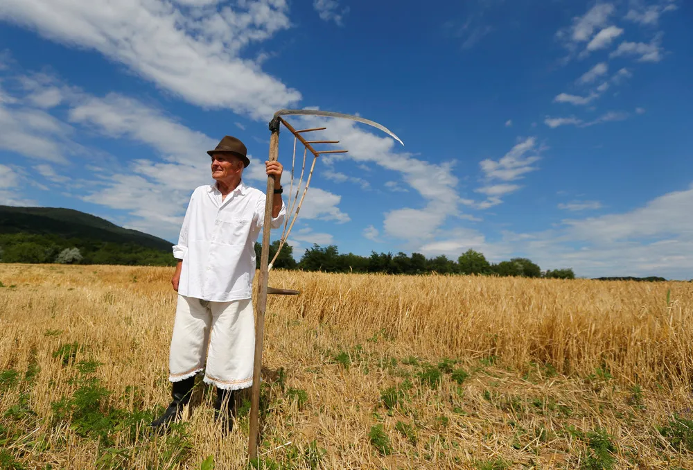 Harvest Festival in Hungary