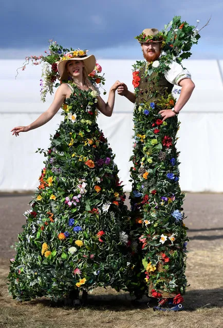 Mr & Mrs Flora are a show favourite at the Dorset county show in Dorchester, England on September 2, 2017. (Photo by Finbarr Webster/Rex Features/Shutterstock)