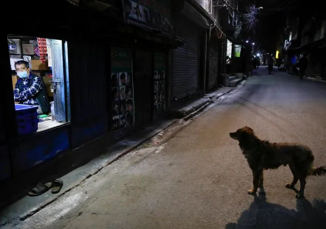 A man sits inside a shop as a dog stands along the deserted street during the seventh day of the lockdown imposed by the government amid concerns about the spread of coronavirus disease (COVID-19) outbreak, in Kathmandu, Nepal on March 30, 2020. (Photo by Navesh Chitrakar/Reuters)