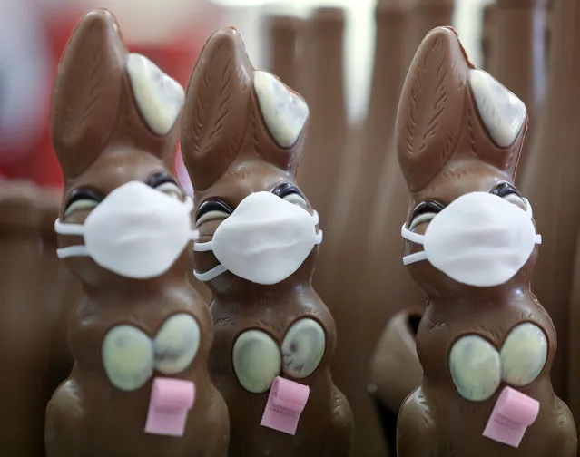 Chocolate Easter Bunnies with a protective mask and a roll of toilet paper are seen at a chocolate factory in Pirmasens, Germany, April 9, 2020, as the spread of the coronavirus disease (COVID-19) continues. (Photo by Ralph Orlowski/Reuters)