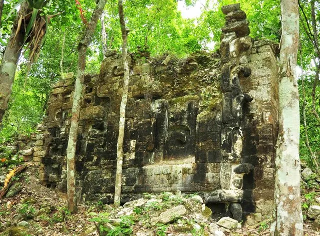 A photograph released to Reuters on August 22, 2014 shows the remains of an ancient Mayan city in Lagunita May 30, 2014. (Photo by Reuters/Research Center of the Slovenian Academy of Sciences and Arts)