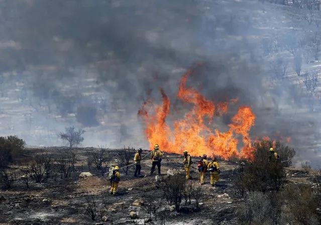 Firefighters let a small area of the Sand Fire burn out near Acton, California, USA, 25 July 2016. At least one person died and 18 houses were destroyed by an uncontrolled fire in the Santa Clarita Valley in the north of Los Angeles, California, USA which has already burned more than 8,900 hectares. (Photo by Paul Buck/EPA)