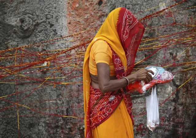 A Hindu woman carrying religious offerings walks past a Kalpavriksha tree, believed to be a divine wishing tree, during a festival on the outskirts of Ajmer, India, August 2, 2016. (Photo by Himanshu Sharma/Reuters)
