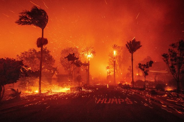 The Palisades Fire ravages a neighborhood amid high winds in the Pacific Palisades neighborhood of Los Angeles, Tuesday, January 7, 2025. (Photo by Ethan Swope/AP Photo)