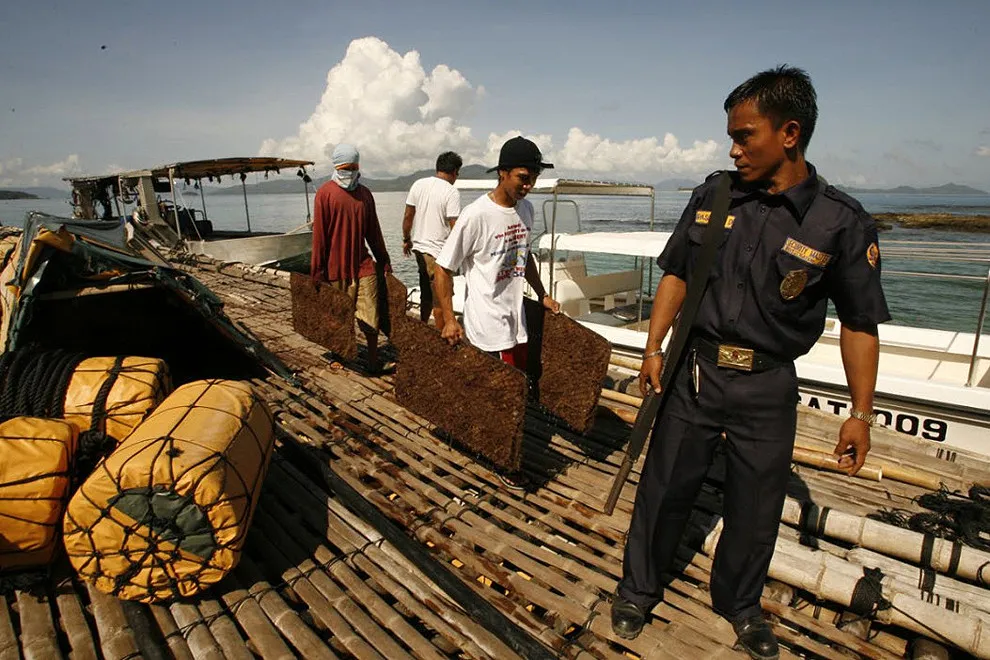 Golden Pearl Farming In Philippines