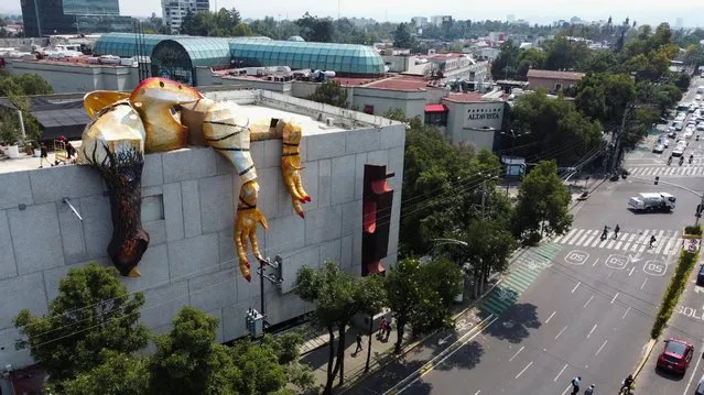 Created by the Mexican architect Juan Jose Gurrola, a giant statue of a dead chicken inspired by the painting “Muerte y funerales de Cain” (Death and Funerals of Cain) by the Mexican muralist David Alfaro Siqueiros is pictured on the rooftop of Carrillo Gil Art Museum in Mexico City, Mexico on October 14, 2022. (Photo by Raquel Cunha/Reuters)