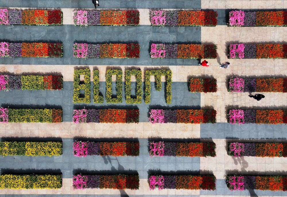 USA last Week, Part 1/2