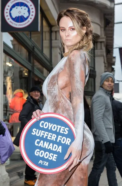 Glamour model Rhian Sugden joins PETA's campaign protesting Canada Goose's use of fur outside the Canada Goose store on Regent's Street – November 29, 2017 on November 29, 2017 in London, England. (Photo by Maja Smiejkowska/Rex Features/Shutterstock)