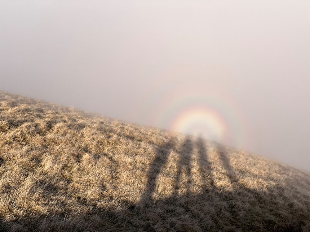 Some Photos: Shadows