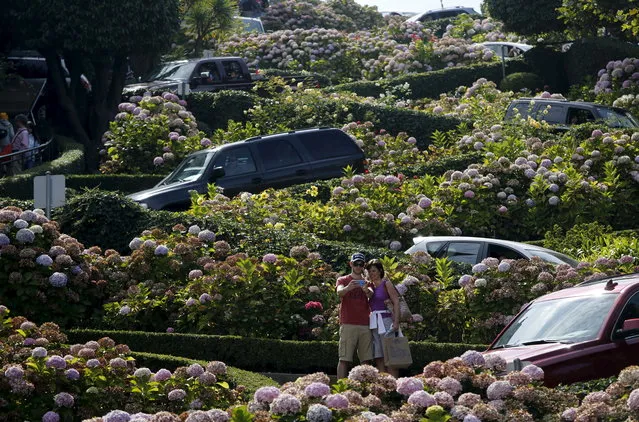 Tourists snap photos on Lombard Street, a popular tourist spot also known as the “world's crookedest street” in San Francisco, California, August 26, 2015. (Photo by Robert Galbraith/Reuters)