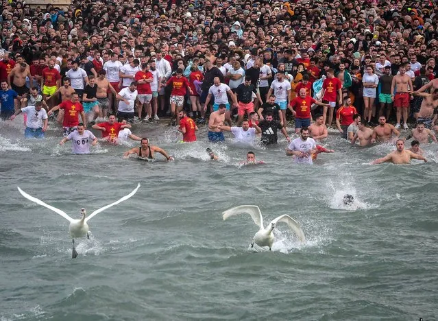 Hundreds of Christian Orthodox believers swim for a crucifix, casted by Macedonian Orthodox Bishop Timotej, in to the freezing water of Lake Ohrid, during an Epiphany ceremony in southwestern town of Ohrid, North Macedonia, January 19, 2023. According to an old tradition, Orthodox believers in Macedonia celebrate Epiphany by jumping after crucifix into a river or a lake because they belief in the purifying powers of water. (Photo by Nake Batev/Anadolu Agency via Getty Images)