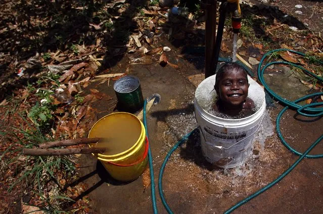 Four-year-old Gregory, grandson of Australian Aboriginal hunter Robert Gaykamangu of the Yolngu people, takes a bath in an old insecticide container at the “out station” of Ngangalala, located on the outksirts of the community of Ramingining in East Arnhem Land November 23, 2014. (Photo by David Gray/Reuters)