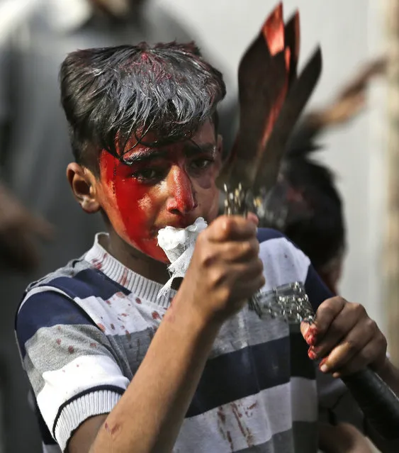 A Kashmiri Shiite Muslim boy flagellates himself during a Muharram procession in Srinagar, Indian controlled Kashmir, Sunday, October 9, 2016. Muharram is a month of mourning in remembrance of the martyrdom of Imam Hussein, the grandson of Prophet Mohammed. (Photo by Mukhtar Khan/AP Photo)