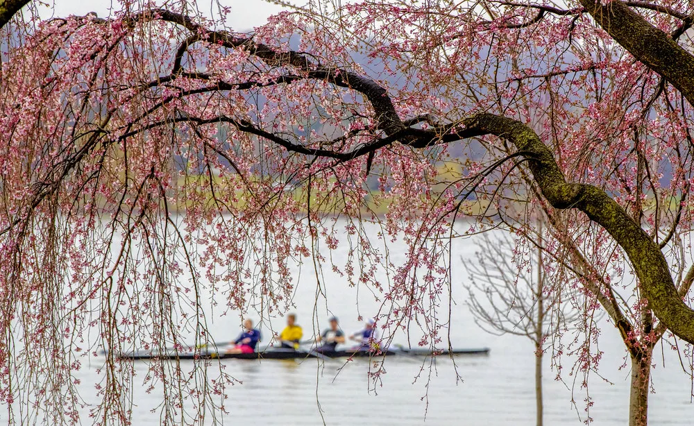 The Day in Photos – April 1, 2018