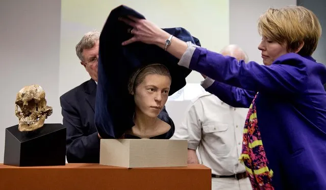 Doug Owsley, division head for Physical Anthropology at the National Museum of Natural History, and Kari Bruwelheide, a forensic anthropologist at the museum, unveil the facial reconstruction next to the skull of  “Jane of Jamestown”  during a news conference at the National Museum of Natural History, in Washington, on May 1, 2013.  Scientists announced during the news conference that they have found the first solid archaeological evidence that some of the earliest American colonists at Jamestown, survived harsh conditions by turning to cannibalism, presenting the discovery of the bones of a 14-year-old girl, “Jane” that show clear signs that she was cannibalized. (Photo by Carolyn Kaster/Associated Press)