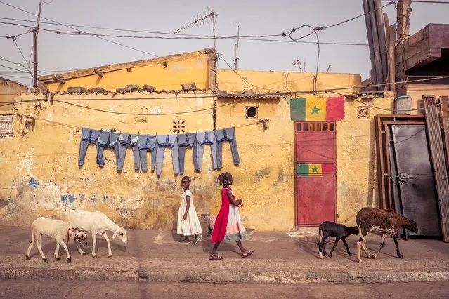 Food Photographer of the Year (The Gulf) – Two by Two. “While shooting in the northern town of Saint Louis in Senegal, I ventured into the neighbourhood of Guet N’Dar, meeting its people, trying to understand the community with the help of my guide, when I came across this spot. All that was there were the jeans and the door with the Senegalese flag. I waited and I waited and this is by far my favourite capture from that long wait”. (Photo by Rico X/Pink Lady Food Awards 2023)