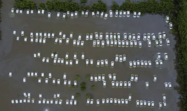 A private car warehouse is submerged in flood water from River Hindon following excessive rains, in Greater Noida, out skirts of New Delhi, India, Wednesday, July 26, 2023. (Photo by Piyush Nagpal/AP Photo)
