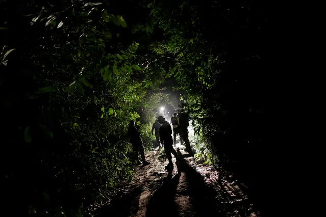 Agents of the Brazilian Institute for the Environment and Renewable Natural Resources, or Ibama, supported by military police, make a survey in the Amazon forest during an operation to combat illegal mining and logging, in the municipality of Novo Progresso, Para State, northern Brazil, November 11, 2016. (Photo by Ueslei Marcelino/Reuters)