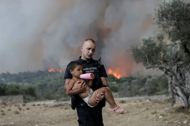 A Police officer Pavlos Terzoglou (26) carries a child as he and his colleagues forcibly evacuate a farmers’ family that refused to leave their property during a wildfire near the village of Palaiokoundouro, in Dervenochoria, northwest of Attica region, Greece, 18 July 2023. There are still active fires in Dervenochoria, in spite of the intervention of water-bombing aircraft according to government sources. A message was sent to people in Attica and the wider area around Dervenochoria via the emergency number 112, instructing them to stay indoors and close their doors and windows due to the ongoing wildfire. (Photo by Kostas Tsironis/EPA/EFE)