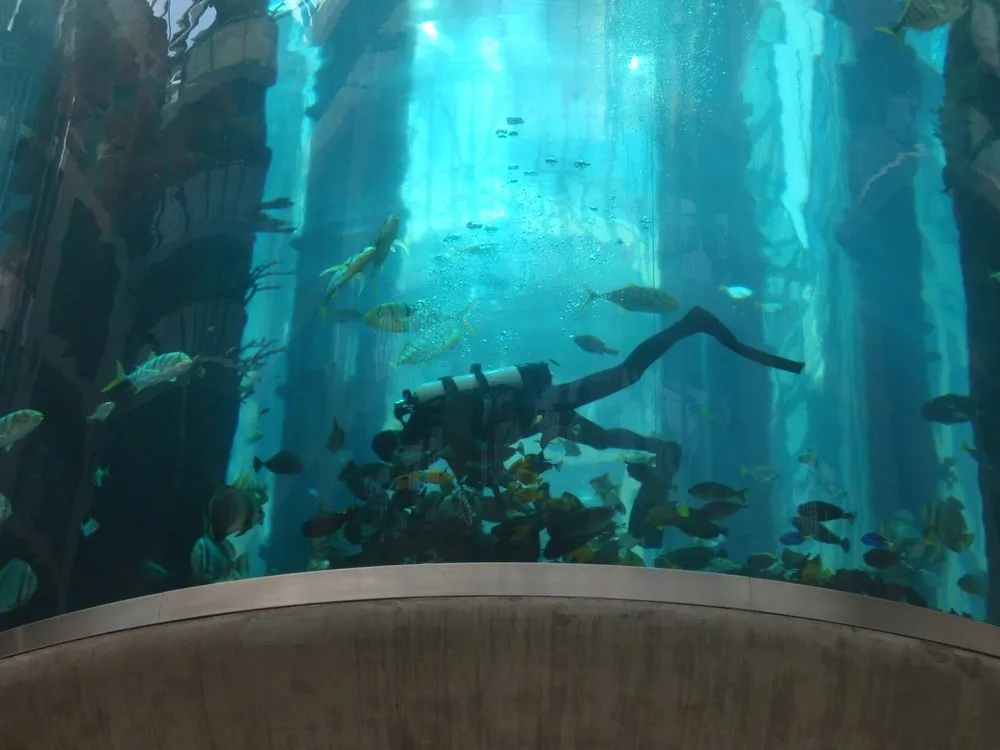 Aquarium in Radisson Sas Hotel