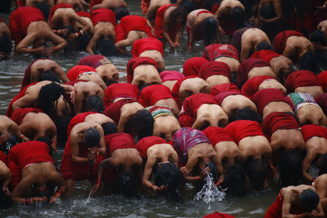 Nepalese devotee women take a holy bath after offering prayers in Pashupathinath Temple premise during the month-long Swasthani Bratakatha festival, devoted to goddess Shree Swasthani in Kathmandu on February 8, 2016. Devotees recite Holy Scripture and women pray for wellbeing of their spouses throughout the month-long fast. (Photo by Skanda Gautam via ZUMA Wire)