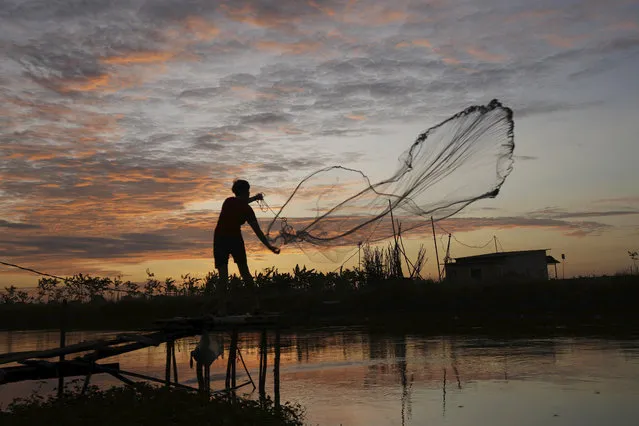 A local villager casts his net into a canal in Tuol village outside Phnom Penh, Cambodia, Tuesday, November 21, 2023. (Photo by Heng Sinith/AP Photo)