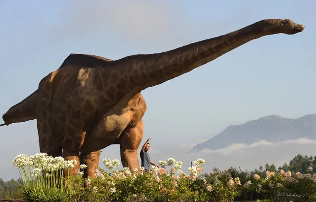 A man poses next to a dinosaur model at the Asturias Jurassic Museum in northern Spain, August 14, 2009. (Photo by Eloy Alonso/Reuters)