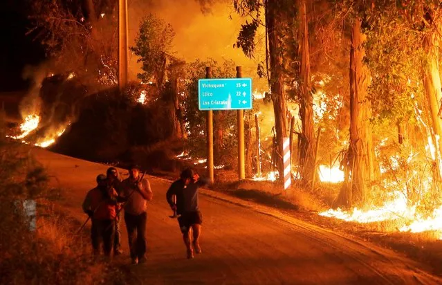 Fire is seen along a road in the town of Hualane during a big forest fire, on the outskirts of the Curico city, south of Chile,  January 21, 2017. (Photo by Cristobal Hernandez/Reuters)