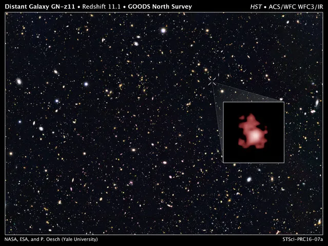This image provided by the Space Telescope Science Institute, taken with the Hubble Space Telescope, shows a hot, star-popping galaxy that is far, far away, farther than any previously detected, from a time when the universe was a mere toddler of about 400 million years old. By employing a different technique – one that has raised some skepticism – a team of astronomers exposed a time period they'd thought was impossible to observe with today's technology.  (Photo by Space Telescope Science Institute via AP Photo)