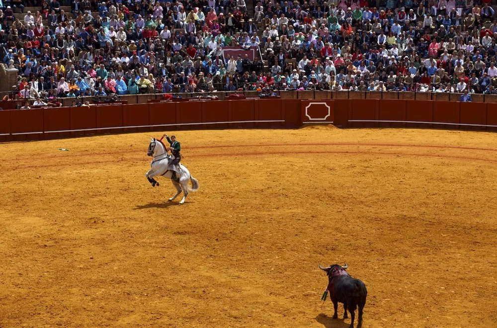 A Bullfight